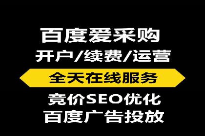网站SEM托管服务成功案例分享